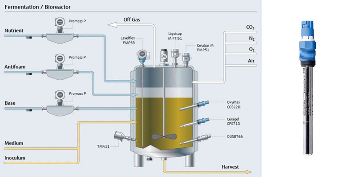 發酵過程快速穩定的即時溶解氧
