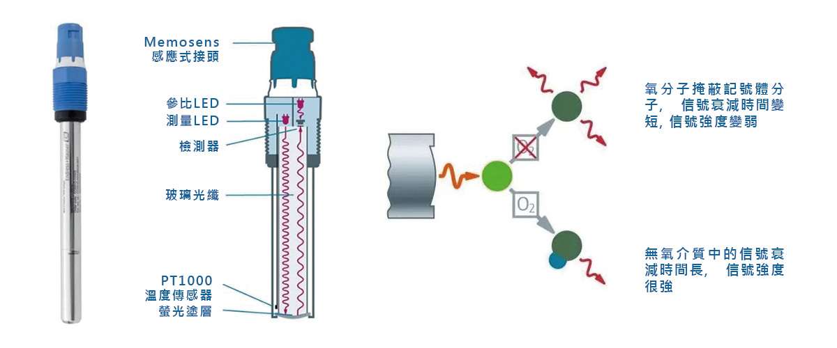 溶氧監測原理