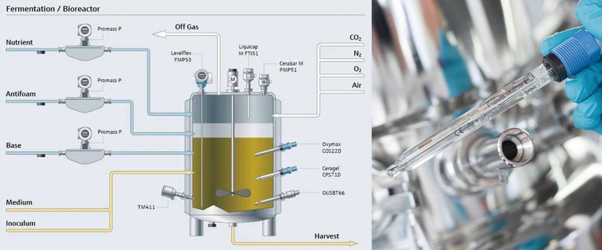發酵過程PH監測